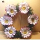 Coronita din brad cu flori artificiale, gerbere 11 cm, diferite culori. 